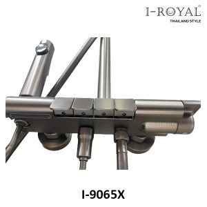 SEN TẮM ĐỨNG NL ĐỒNG SƠN TĨNH ĐIỆN XÁM I-ROYAL I-9065X 6